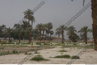 Photo Texture of Landscape Dendera 0176